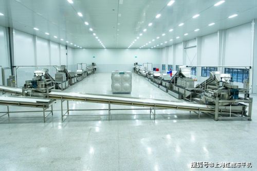 食品凍干技術(shù)為鄉(xiāng)村振興賦新能,凍干設(shè)備生產(chǎn)線廠家