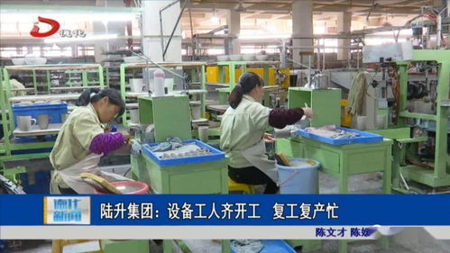 陸升集團(tuán) 設(shè)備工人齊開工 復(fù)工復(fù)產(chǎn)忙