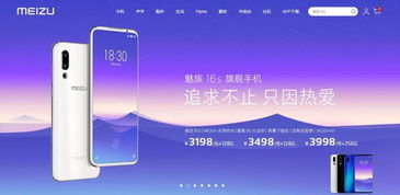 三拼米 家長(zhǎng)幫 大五位價(jià)格被秒 終端 斑馬會(huì)員 收購bm.cn 海外近期的17個(gè)終端域名銷售